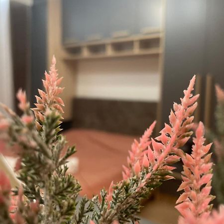 Daf Apartaments Pristina Kültér fotó