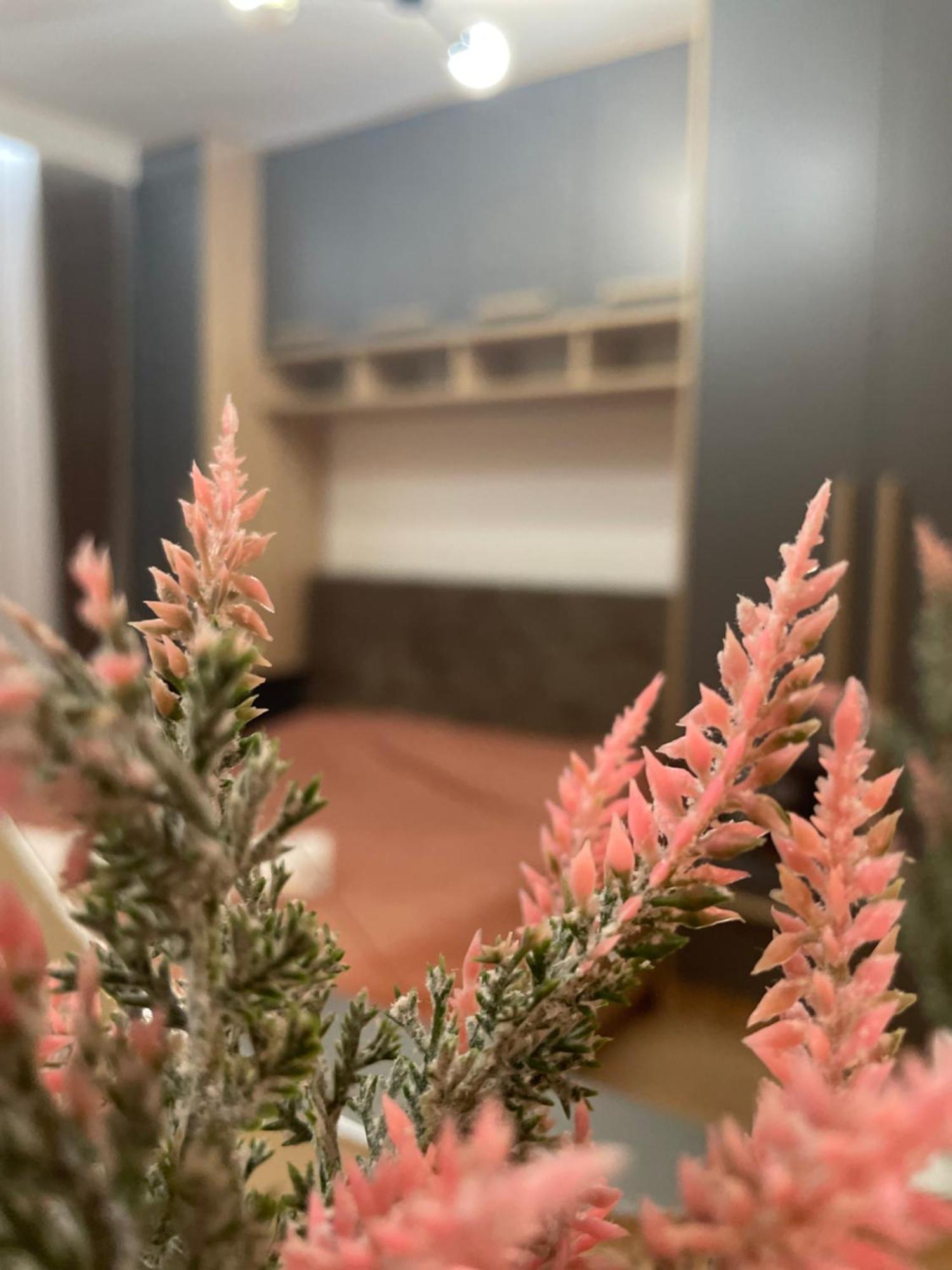 Daf Apartaments Pristina Kültér fotó